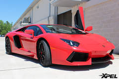 Lamborghini with XPEL ULTIMATE paint protection film