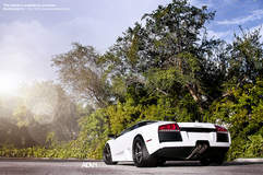 LP640 on ADV05 Deep Concave