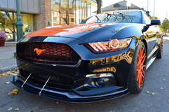 MRT TKO Mustang