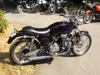 Seen at the Vashon Island Meet