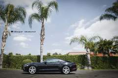 2016 Ford Mustang Ecoboost Fitted With 20 Inch BD-21’s in Silver With Chrome SS Lip