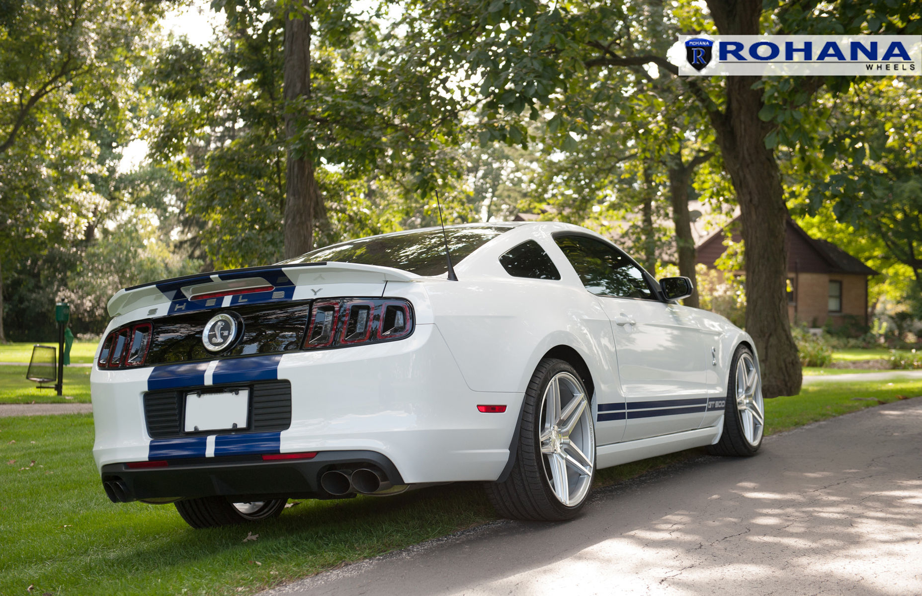  Ford Shelby GT500 | Ford Mustang GT500