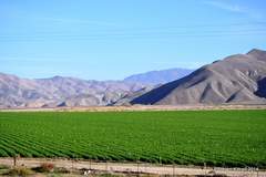 Nature's Valley