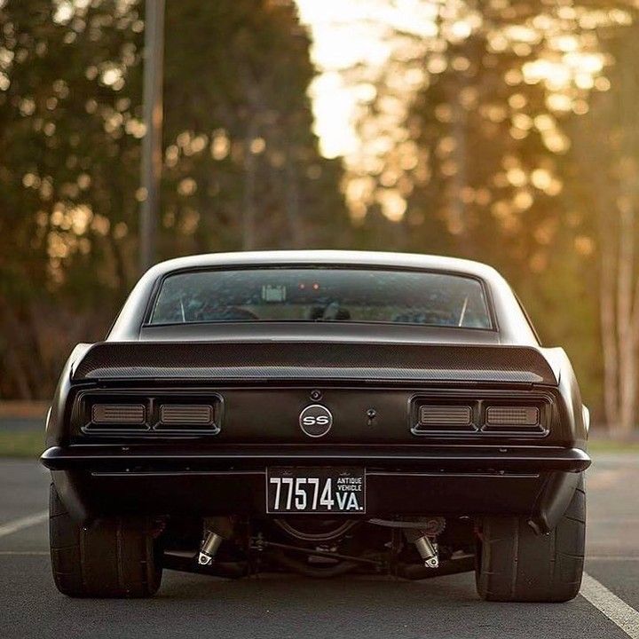    | Camaro
