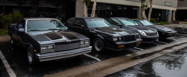 The Auto Salon Grand Opening