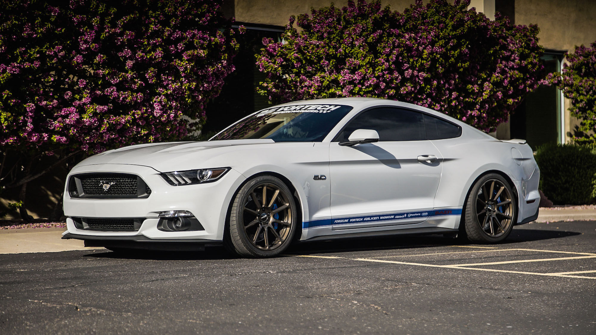 2015 Ford Mustang | Rick Elam's Supercharged S550 Mustang GT on Forgeline One Piece Forged Monoblock RB1 Wheels