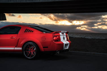 Mustang GT500 Sport Y5 Concave