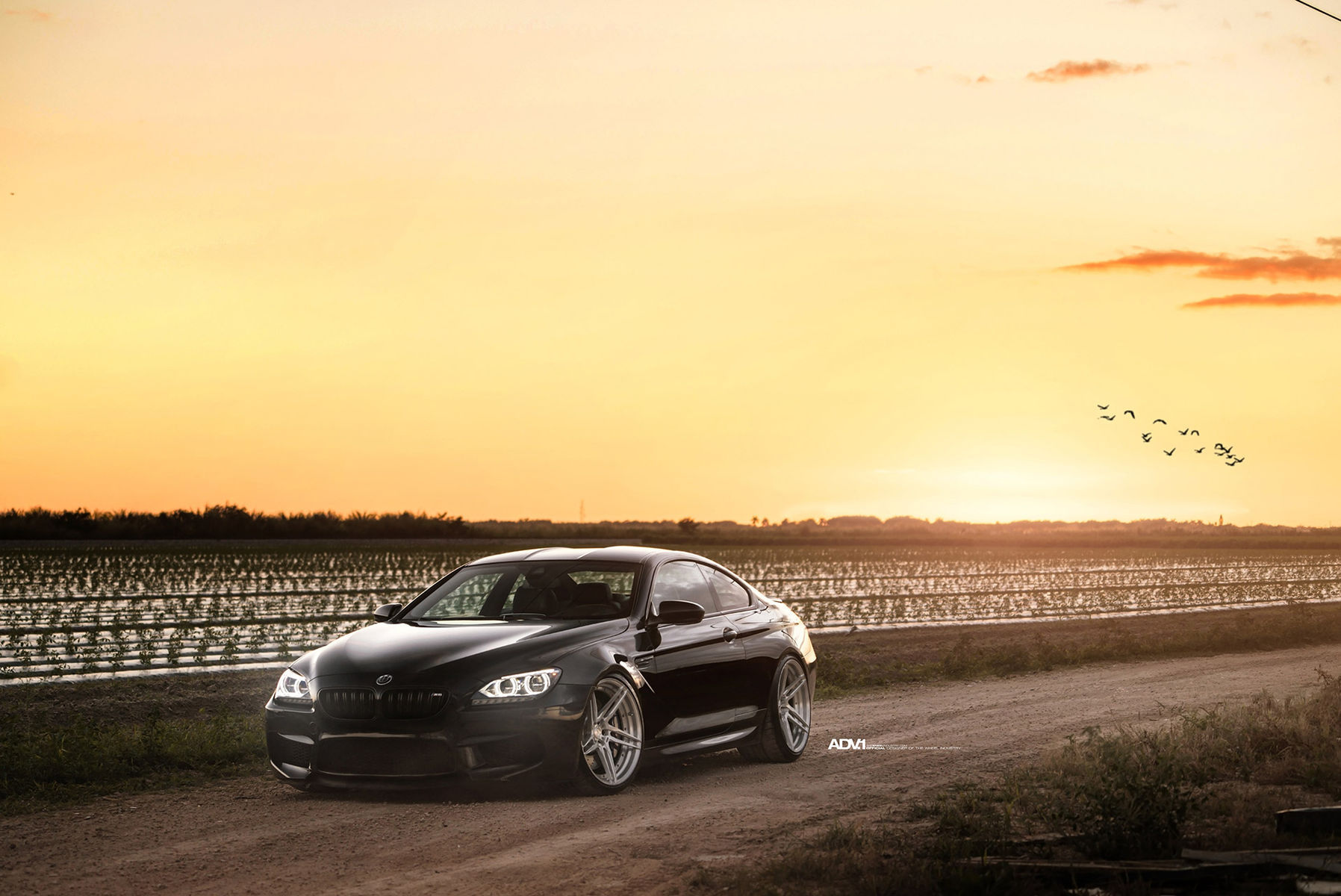 2016 BMW M6 | ADV.1 Wheels BMW M6 Coupe