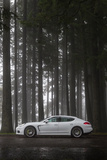 '14 Porsche Panamera