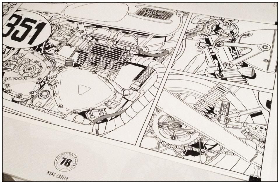  Triumph  | Capelo's Creation