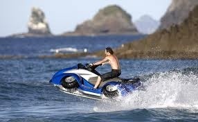    | All terrain!