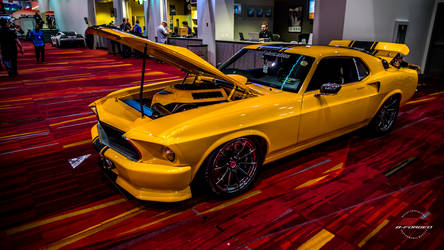Mustang