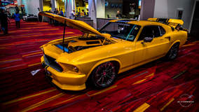 Mustang