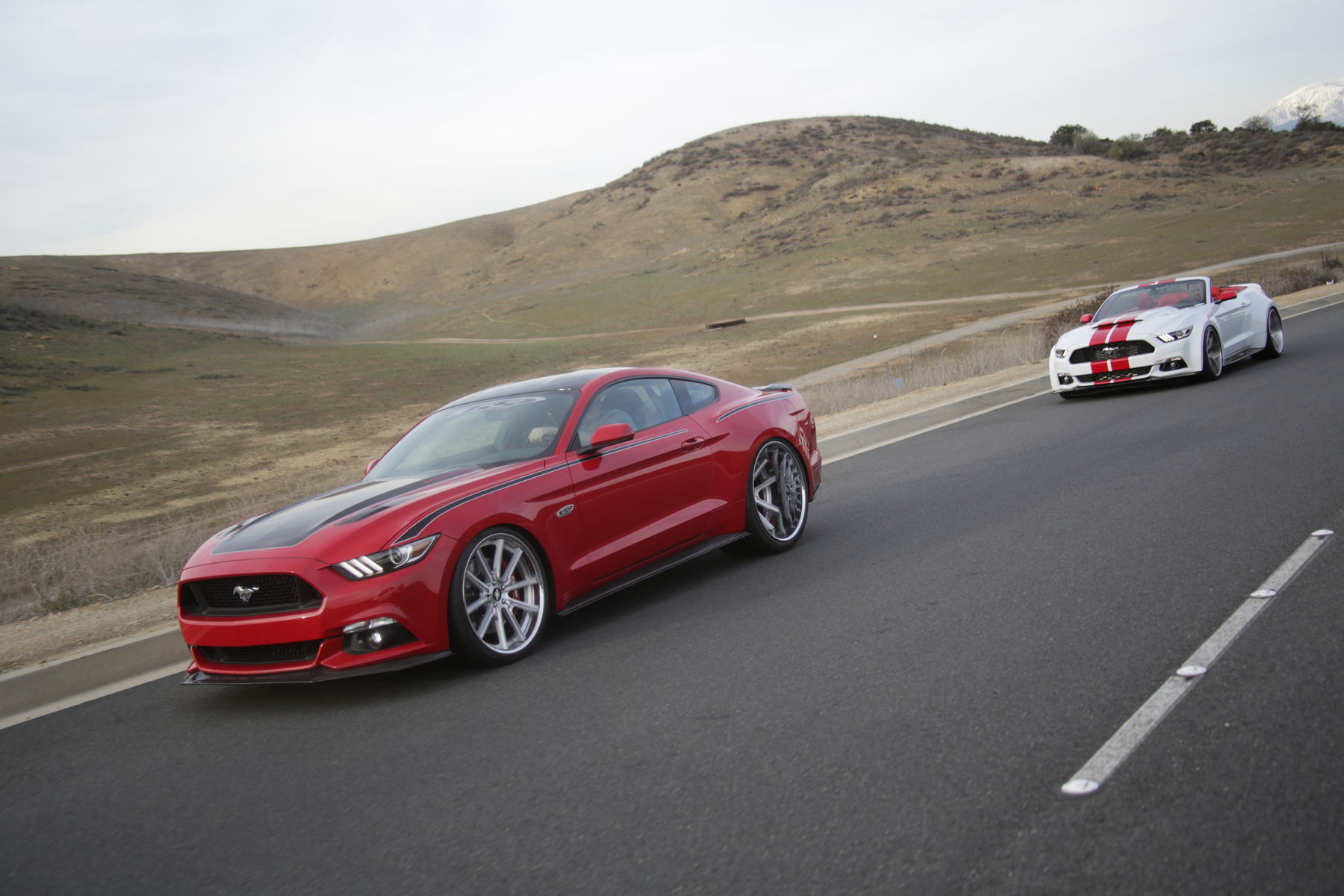 2015 Ford Mustang | 2015 Mustang GT SEMA Build