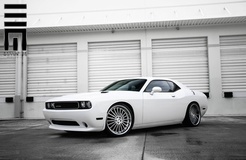 '13 Dodge Challenger on XO New York's