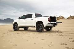 Timmon's Tundra