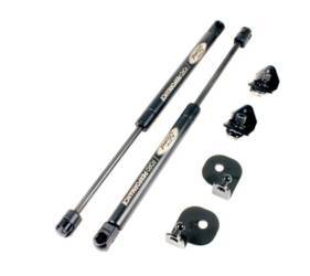 Ford Performance Hood Struts