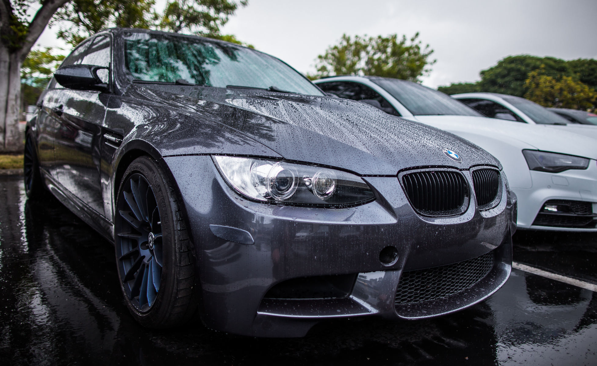 | The Auto Salon Grand Opening