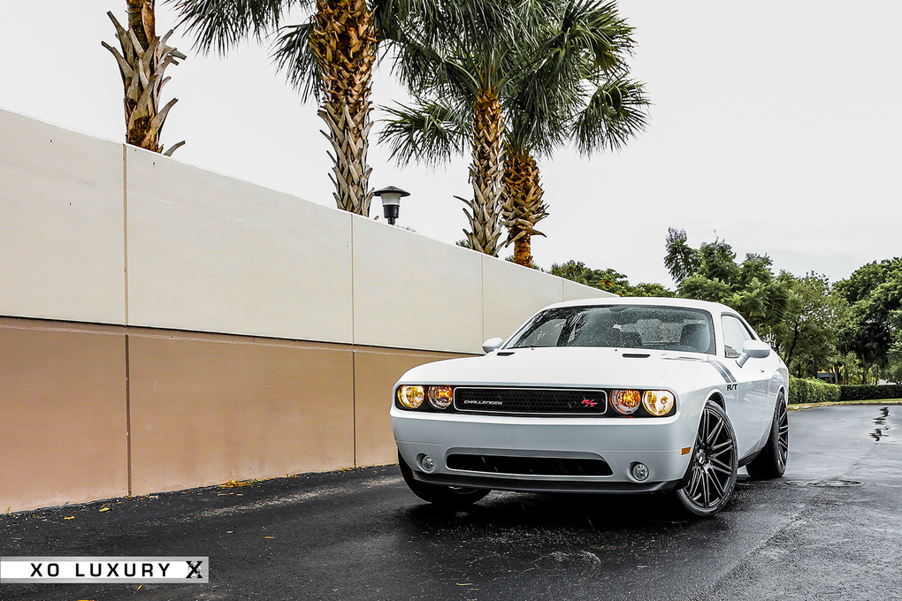 2013 Dodge Challenger | '13 Dodge Challenger on XO Milan's