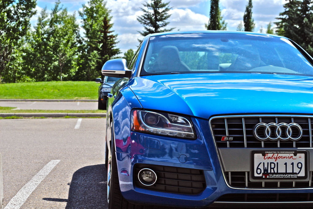 2008 Audi S5 | Audi S5