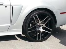 Mustang on Ruff R954's