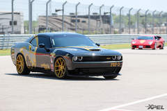 goldRush Rally 7
