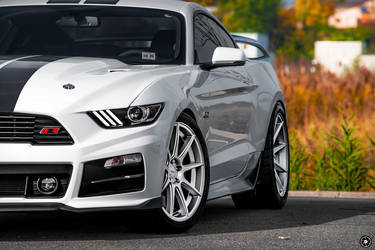 2015 Ford Mustang | White Mustang GT on Velgen Wheels VMB9 Matte Silver 20x9 & 20x10.5 