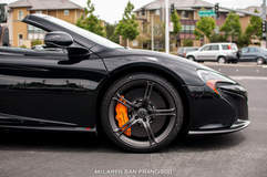 650S 12C Spider 4098