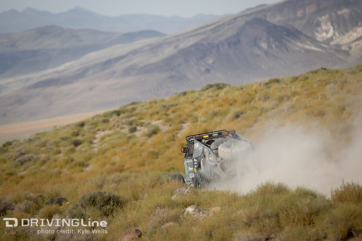   | Rippin desert