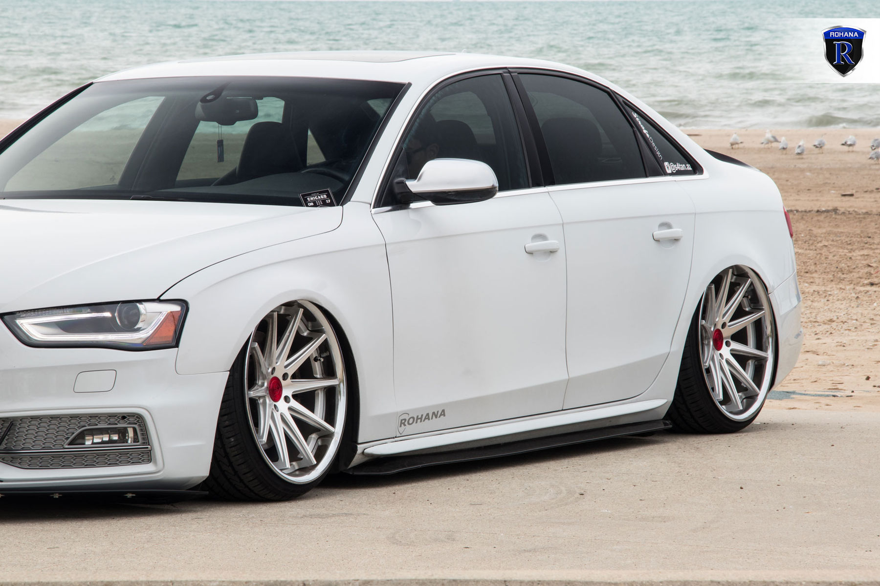 2016 Audi A4 | White Audi A4 - Lowered