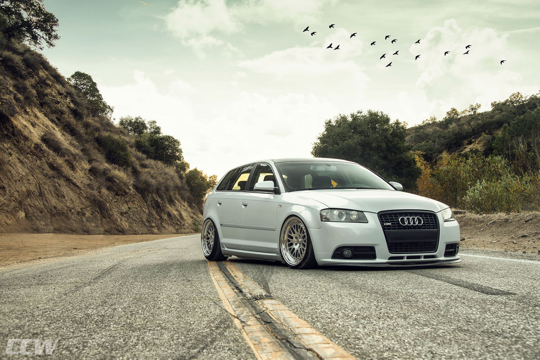  Audi A3 | Suzuka Grey Audi A3 Avant Wagon - CCW Classic Forged Wheels