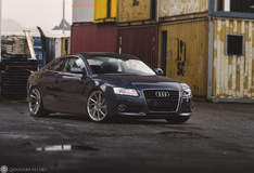 Quantum44 S5D - Audi A5 Coupe  