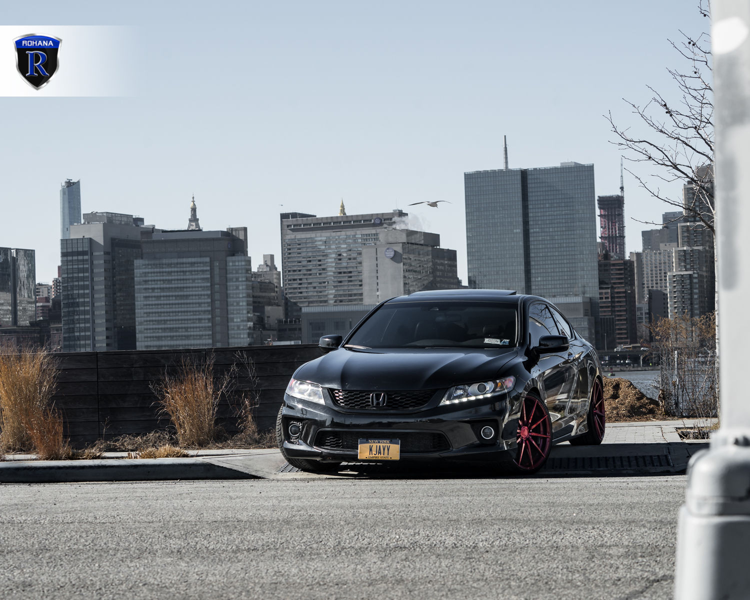 2013   | Honda Accord