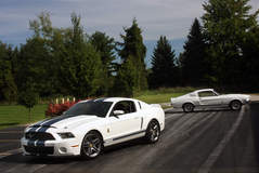 2010 Shelby GT500 