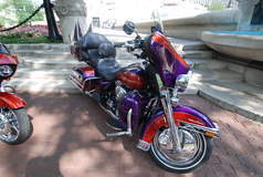 Purple & Red