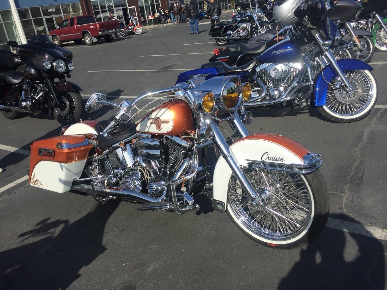    | softail