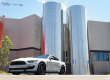 2016 Shelby GT350R