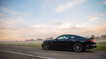 2015 Ford Mustang | 2015 ROUSH Stage 2 Mustang