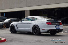 2017 Shelby GT350