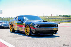 goldRush Rally 7
