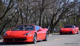 Ferraro 360