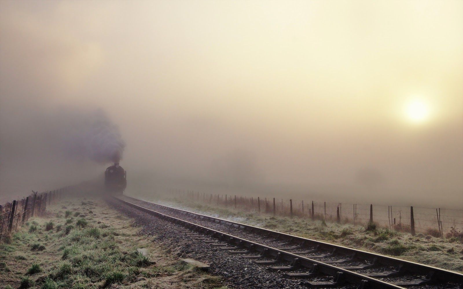    | Rumble Through The Fog 