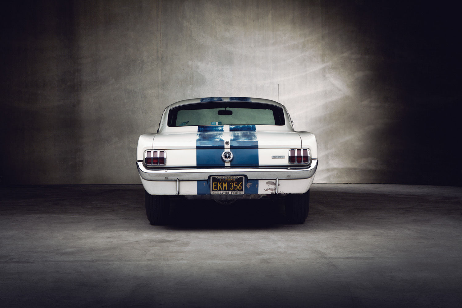 1965 Ford GT350 | 1965 GT350 Barn Find Rear