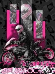 2010 BMW S1000RR | Dystany Spurlock