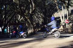 First Ride of the Day