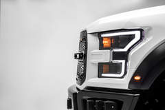 ZROADZ 2017 Ford Raptor