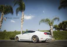 2015 Ford Mustang Roush Fitted With 20 Inch BD-21’s in Bronze with Chrome SS Lip