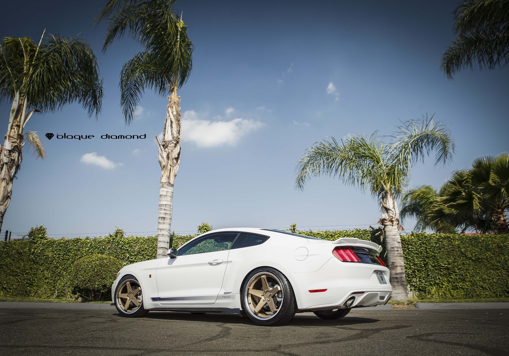 2015 Ford Mustang | 2015 Ford Mustang Roush Fitted With 20 Inch BD-21’s in Bronze with Chrome SS Lip