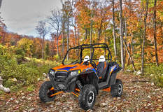 Polaris RZR Grille 