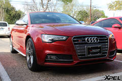 Audi S5 with XPEL ULTIMATE